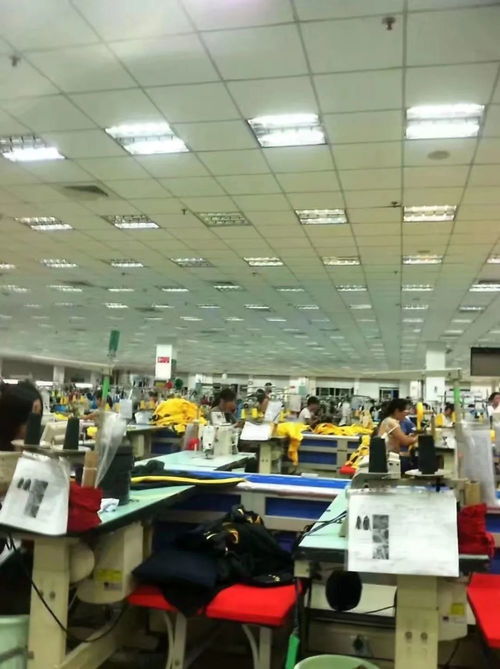 北京信息咨询服务 连接智慧与机遇的桥梁